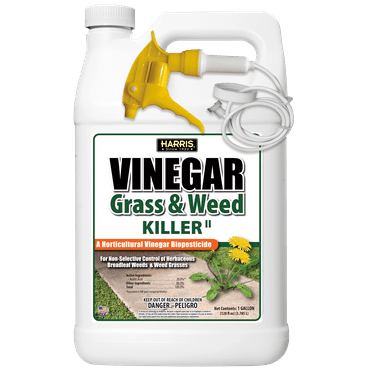 Harris VWEED-128 1 gal 20 Percentange Vinegar Weed Killer