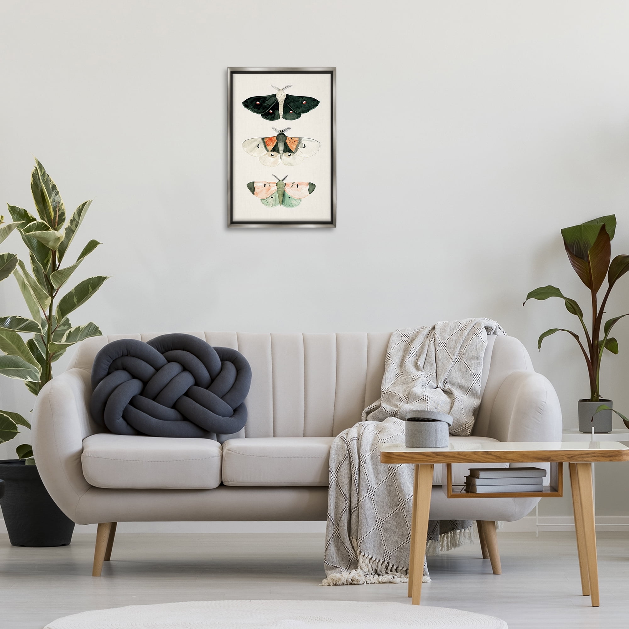 Stupell Industries Assorted Moth Trio Animals Painting Gray Floater Framed Canvas Art Print Wall Art, 17 x 25