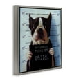 thumbnail image 3 of Stupell Industries Boston Terrier Jail Convicted Mugshot Animals & Insects Painting Gray Floater Framed Canvas Art Print Wall Art, 25 x 25, 3 of 9
