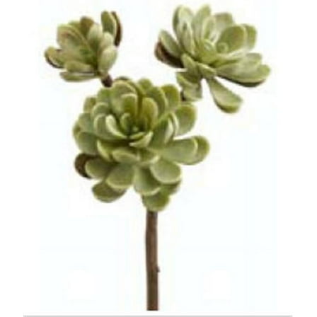10 in. Green Hen-And-Chicks Stem X3- Case of 12