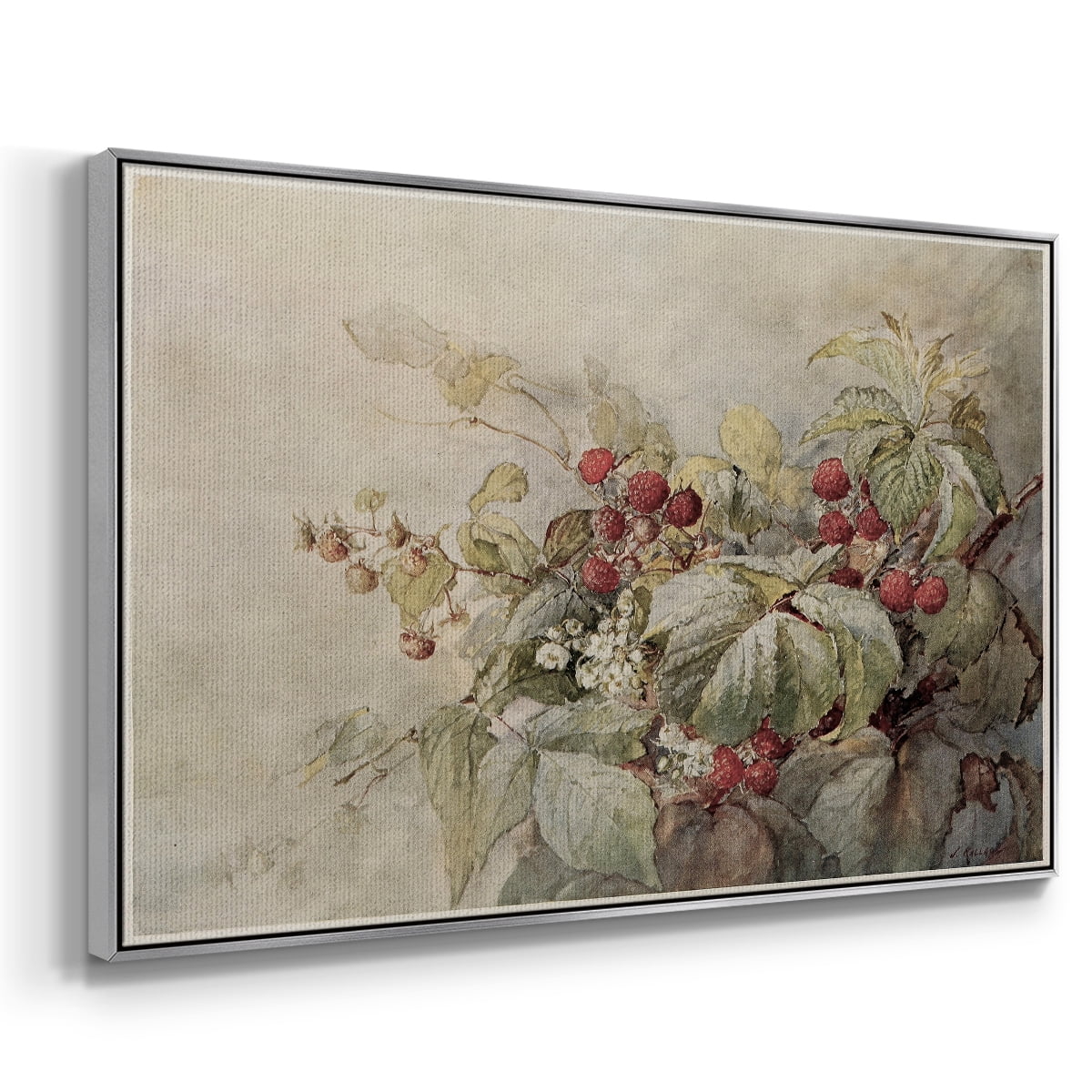 Vintage Botanical Print-V By Wexford Home Framed in Silver Wood Gallery Wrapped Canvas 25 in. x 37 in.