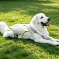 thumbnail image 5 of Pets Dog Cooling Vest with Ice Pack Evaporation Cool Harness Adjustable Summer Shirt Pet Jacket for Hot Weather Fit Large Medium Small Dogs, 5 of 6