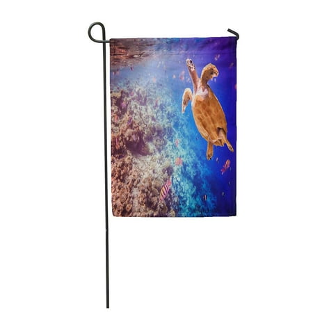 SIDONKU Hawksbill Turtle Eretmochelys Imbricata Floats Under Water Maldives Ocean Coral Reef Garden Flag Decorative Flag House Banner 28x40