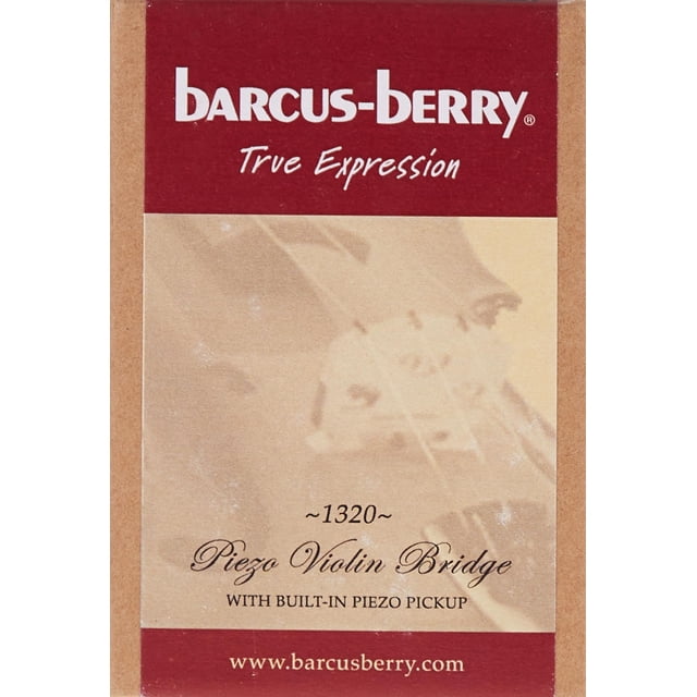 Violín eléctrico Barcus Berry de 1 cuerda (1320)