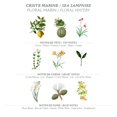 thumbnail image 2 of Perfume Panier des Sens Sea Samphire Eau de Toilette para mujer, 50 ml, 2 of 7