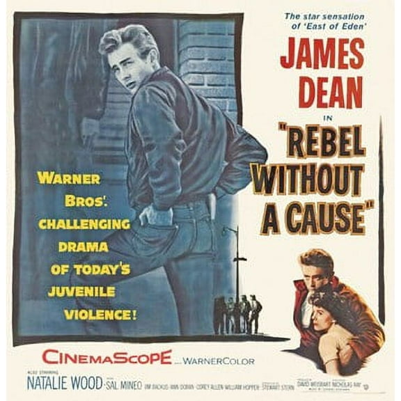 Rebel Without a Cause Movie Poster (11 x 17)