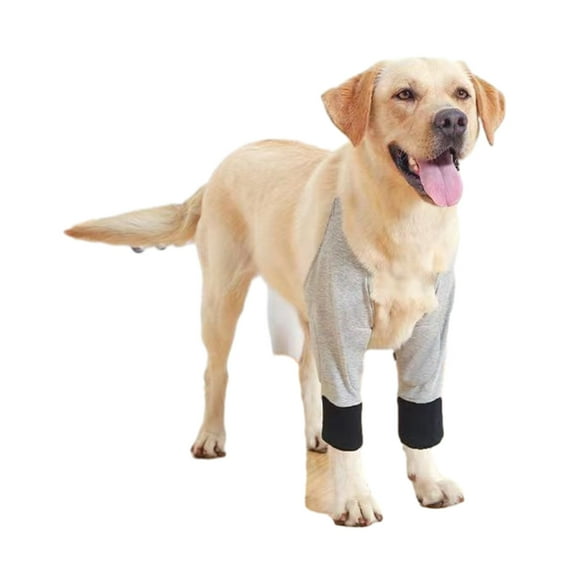 Pet Leg Hock Joint Protector Dog Surgery Ensures Joint Health Adjustable Size Prevent Licking Helps Prevent Sprains