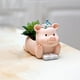 thumbnail image 3 of Macetas de Plantas Suculentas de Animales Macarena Maceta de Resina Hecha a Mano Cerdito Opción 2, 3 of 8