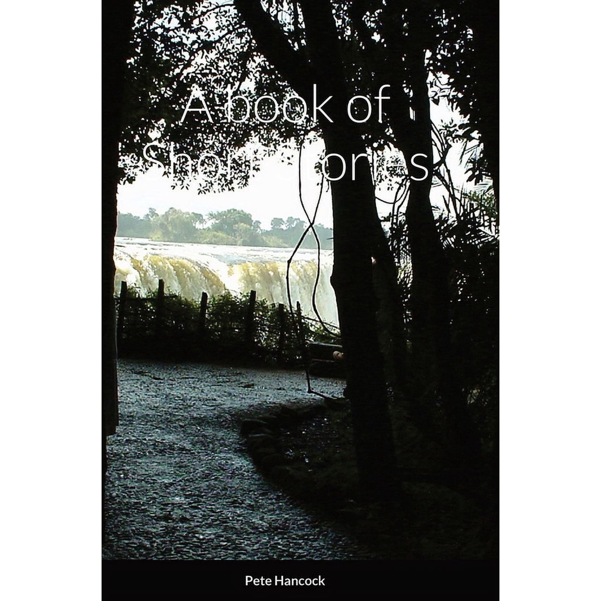 A book of Short Stories (Hardcover)