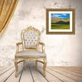 thumbnail image 3 of Fitzharris, Tim 17x15 Gold Ornate Wood Framed with Double Matting Museum Art Print Titled - Wildflower Bloom, 3 of 4