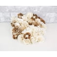 thumbnail image 5 of Sola Wood Flowers Specialty Assortment Raw Bark Skinless Eco-friendly Flowers Perfect for Easy DIY Wedding Bouquets Home Decorations Gifts and Flower Crafting 1.5” to 3" Pack of 50, 5 of 5