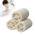 thumbnail image 1 of 3 cepillos de esponja de ducha de baño de lufa natural, cepillo de espalda para el cuerpo, depurador, removedor de calentura, esponja de masaje de baño para lavar platos (L) Rojo Verde, 1 of 5