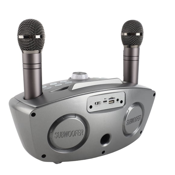 Máquina De Karaoke, Altavoz Bluetooth De Karaoke Recargable Bluetooth 4.2 Para Oficina Al Aire Libre
