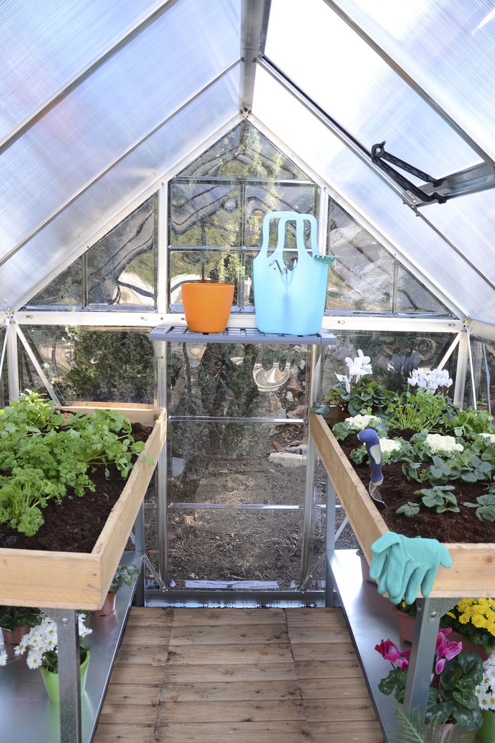 Palram - Canopia Hybrid - 6' x 6' - Silver - Polycarbonate Walk-In Greenhouse