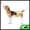 Yellow White L, variant on Unique Bargains Dog Diapers for Female Dogs Washable Reusable Panties Red White S