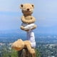 thumbnail image 4 of Flexible Remodelable Pose Yoga Bear Cute Bear Soft Plush Toys;flexible Remodelable Pose Yoga Bear Cute Bear Soft Plush Toys, 4 of 4