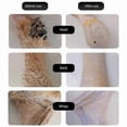 thumbnail image 5 of Electric Poultry Feather Plucker Rechargeable Small Chicken Plucker MachineAM, 5 of 5
