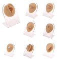 thumbnail image 1 of Silicone Outil d'Aiguille de Présentation Modèle Perçage Oreille Nez Bouche Langue, 1 of 5