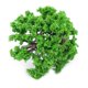 thumbnail image 3 of 3PCS Miniature Tree Ornament Succulent Micro Landscape Plants Decoration DIY Craft, 3 of 5