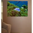 thumbnail image 2 of Arena "Scuba Snack" Wall Decal, 2 of 2