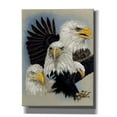 thumbnail image 1 of Epic Graffiti 'Valor' by Barbara Keith, Canvas Wall Art, 12"x16", 1 of 8