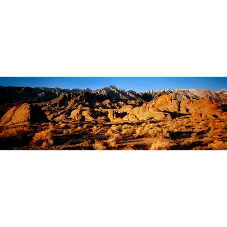 - Rock formations in a desert Alabama Hills Californian Sierra Nevada California USA Stretched Canvas - Panoramic Images (36 x 12)
