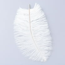 50pcs Ostrich Feather Costume Accessories Dyed White 25~30cm