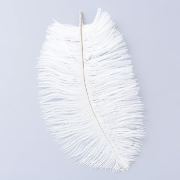 50pcs Ostrich Feather Costume Accessories Dyed White 25~30cm