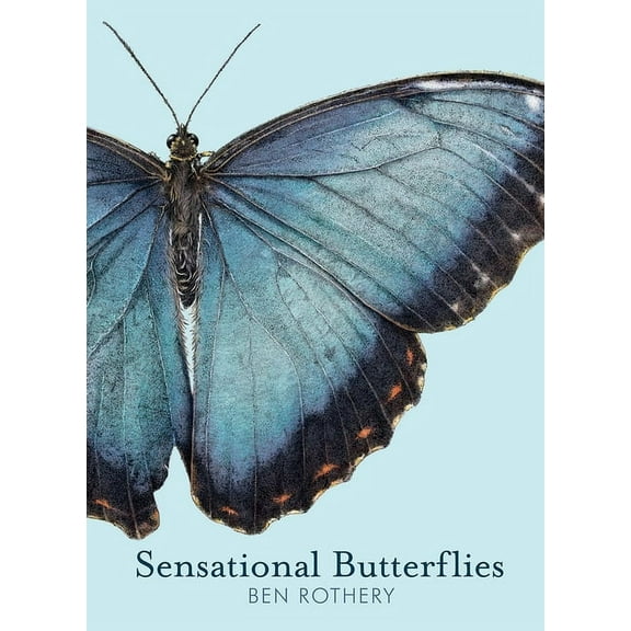 Rothery's Animal Planet Sensational Butterflies, (Hardcover)