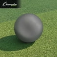 thumbnail image 5 of Champion Sports Iron Shot Put, Silver, 16 Pounds, 5 of 5