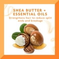 thumbnail image 4 of Cantu Shea Butter Daily Oil Moisturizer for Hair, 13 Oz, 6 Pack, 4 of 5