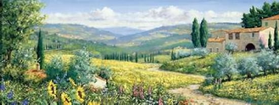 View Over Toscane C