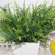 thumbnail image 1 of Gwong Decoración hogareña 1 Ramo Artificial Green Plant Conveniente Vivid Vivid Multifuncional No Fading Simulación Espárragos Para Decorar Gwong 28586, 1 of 5