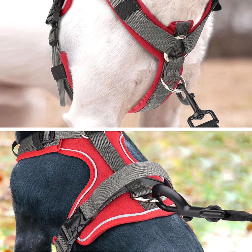 Beirui Reflective No Pull Dog Harness Soft Padded Adjustable Training Vest With Handle & 2 Leash Clips