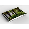 thumbnail image 2 of Ambesonne Forest Pillow Sham 2 Pack, Bushes and Thick Trunks, 26"x20", Green Brown, 2 of 3