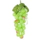 thumbnail image 4 of 36 racimos de uvas Fruta Uva Restaurante Escuela Enseñanza Frutas y verduras Festival Fiesta, 4 of 5