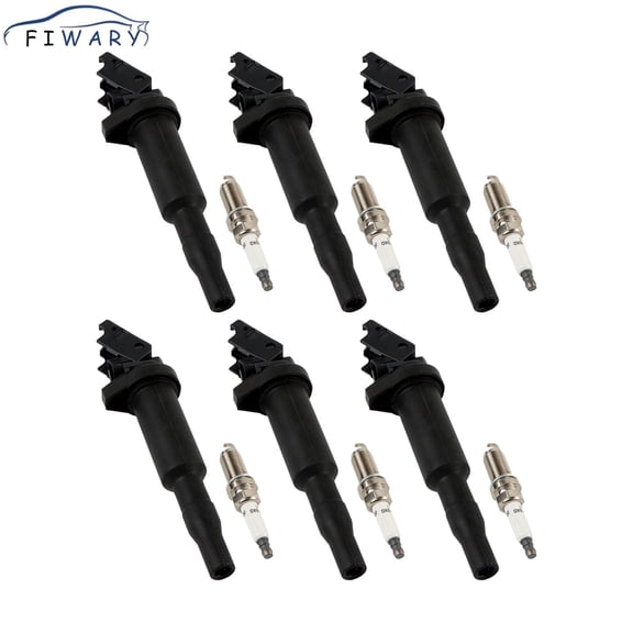 FIWARY 6pcs Ignition Coils  6pcs Iridium Spark Plugs for BMW 128i 328i 535i 550i Mini Cooper UF592