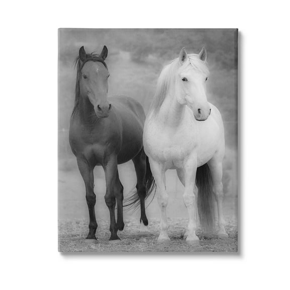 Stupell Industries White & Black Horses Animals & Insects Photography Gallery Wrapped Canvas Art Print Wall Art, 16 x 20