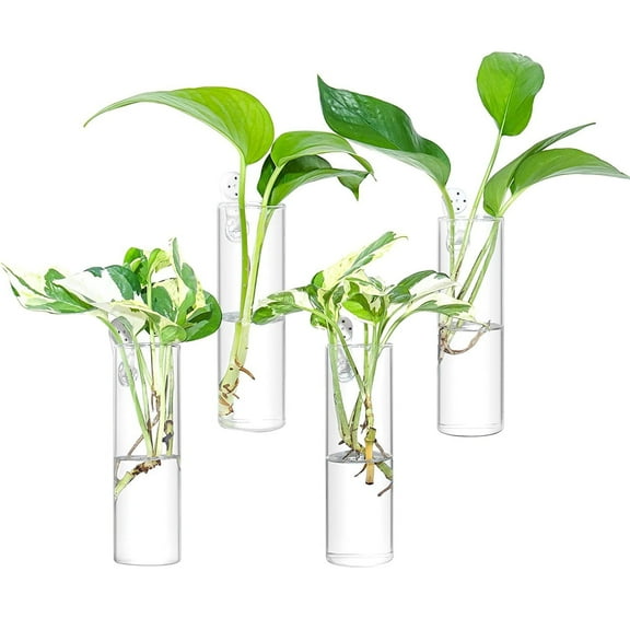 Wall Plant Propagation Station Hanging Glass Plant Vase, 4PCS Wall Planters for Indoor Plants, Wall Vase, Cylinder Shape, Perfect for Propagating Hydroponic Plants Home Office Garden Decor