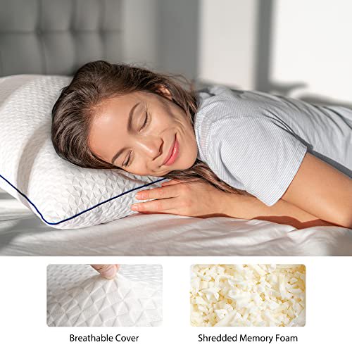 Diastar memory hotsell comfort pillow