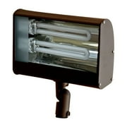 Dabmar Lighting 2-Light Flood Light