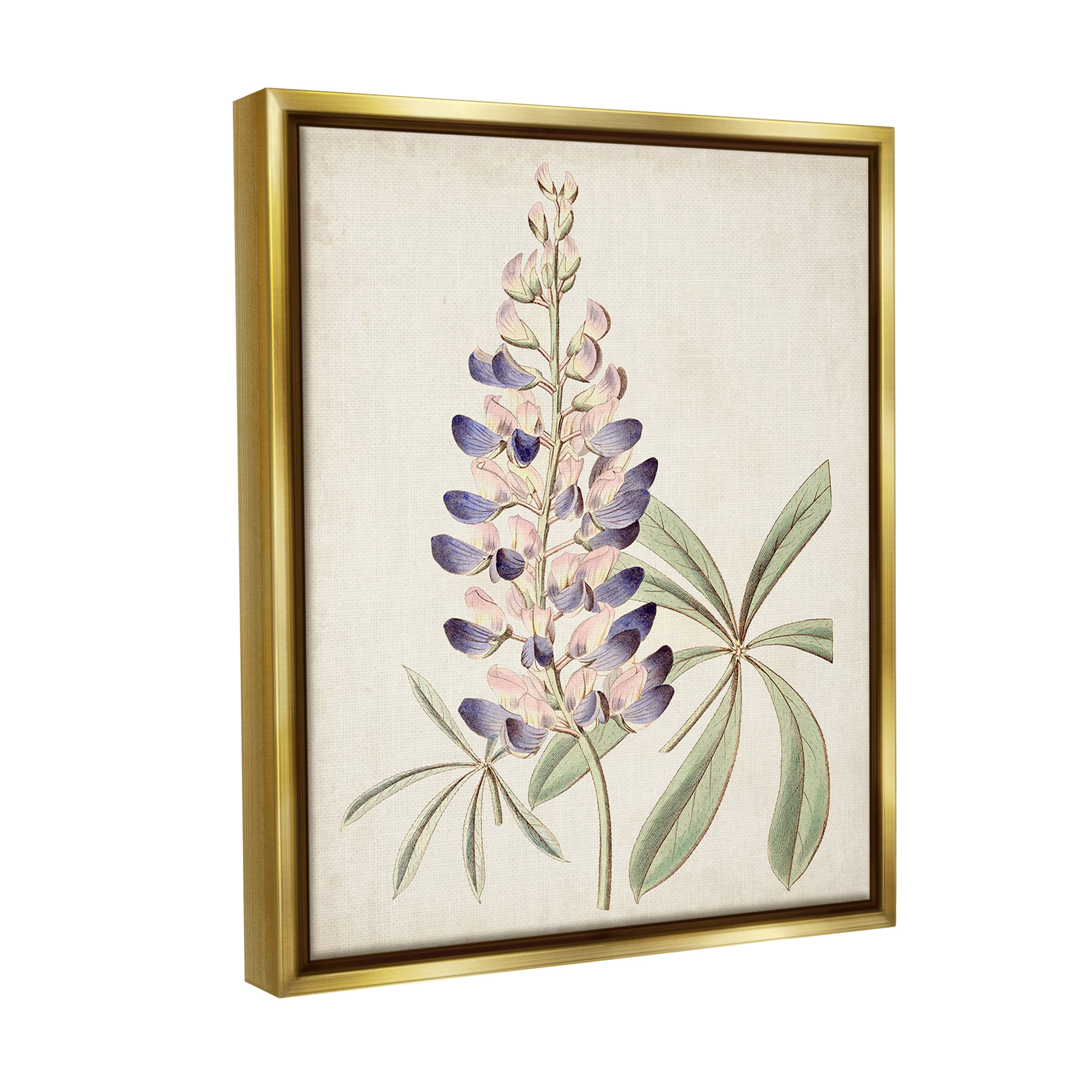 Stupell Industries Vintage Lupin Plant Botanical & Floral Painting Gold Floater Framed Canvas Art Print Wall Art, 17 x 21