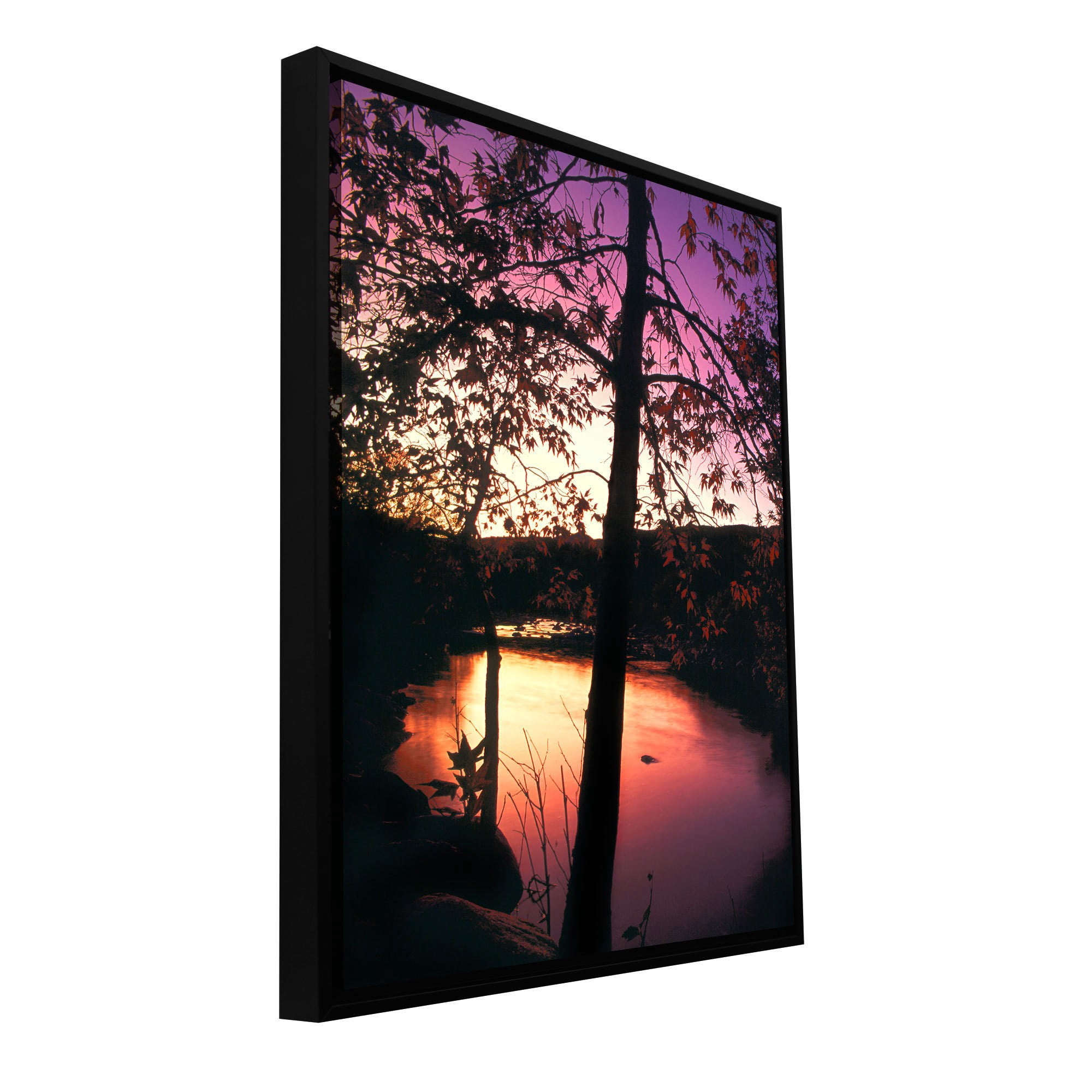ArtWall Dean Uhlinger "Deer Creek Afterglow" Floater Framed Gallery-Wrapped Canvas