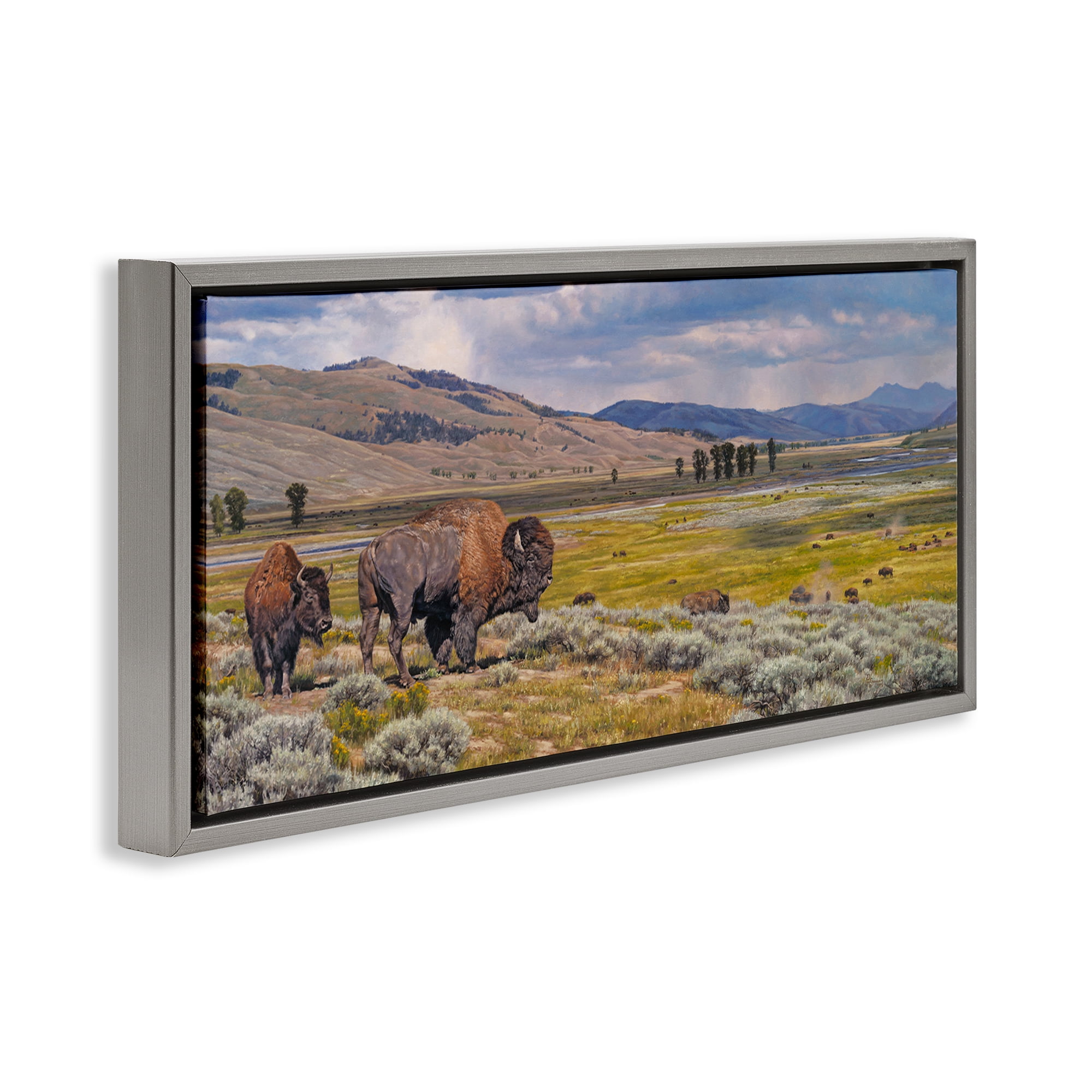 Stupell Industries Roaming Southwestern Bison Landscape Painting Gray Floater Framed Art Print Wall Art, 31 x 14
