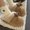 khaki, variant on Cute Cartoon Cat Leopard Bow Men And Women House Slippers Soft Fuzzy Fleece Lined Warm Indoor Cotton Slides Thick Platform Anti-Slip Bedroom Slippers Ideal Birthday Gift