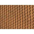 thumbnail image 1 of Ahgly Company Indoor Rectangle Patterned Saddle Brown Area Rugs, 3' x 5', 1 of 1