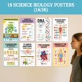 thumbnail image 4 of Set de pósters Decorably Biology, 16 unidades, 28 x 43 cm, mate, 4 of 9