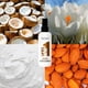 thumbnail image 3 of Tratamiento Revlon Professional UniqOne Coco 150ml, 3 of 6