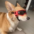 thumbnail image 2 of gafas para mascotas gafas para perros gafas rojas para mascotas brillar Electrónica, 2 of 5