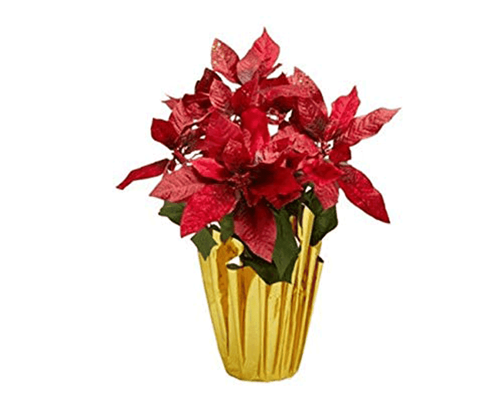 Northeast Holiday Traditions Potted Artificial Glittered Poinsettia